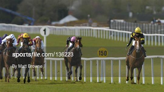 Horse Racing at the Curragh