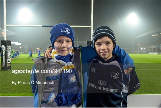 Leinster Fans at Leinster v Ospreys - Guinness PRO12 Round 9