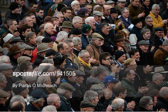 Horse Racing from Fairyhouse - 30th November 2014