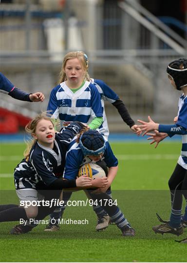 Bank of Ireland Half-Time Minis at Leinster A v Carmarthen Quins - British & Irish Cup Round 4