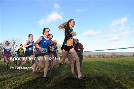 GloHealth Novice and Juvenile Uneven Age Cross Country Championships