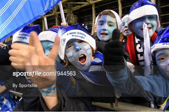 Leinster Fans at Leinster v Harlequins - European Rugby Champions Cup 2014/15 Pool 2 Round 4