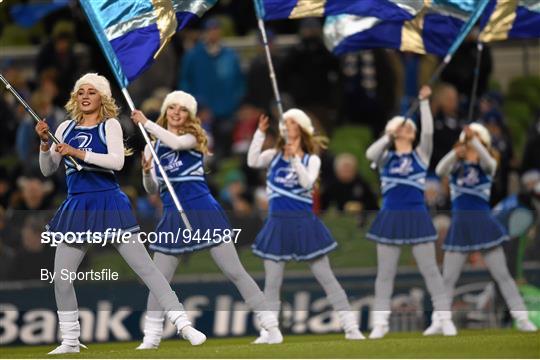 Entertainment at Leinster v Harlequins - European Rugby Champions Cup 2014/15 Pool 2 Round 4
