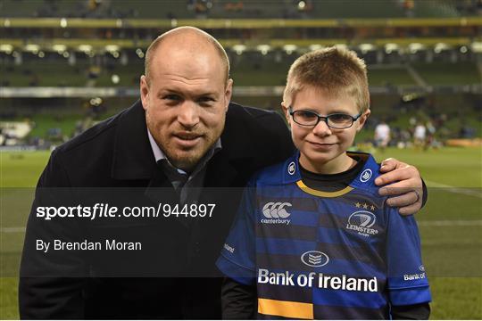 Mascots at Leinster v Harlequins - European Rugby Champions Cup 2014/15 Pool 2 Round 4