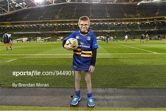 Mascots at Leinster v Harlequins - European Rugby Champions Cup 2014/15 Pool 2 Round 4