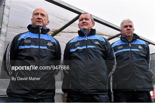 Dublin v Dubs Stars - Herald / Dublin Bus Hurling Challenge 2015