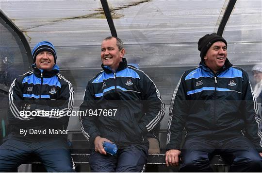 Dublin v Dubs Stars - Herald / Dublin Bus Hurling Challenge 2015