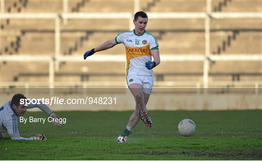 Offaly v Laois - Bord na Mona O'Byrne Cup Group A Round 1