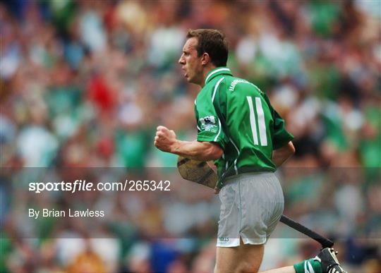 Kilkenny v Limerick - Guinness All-Ireland SHC Final