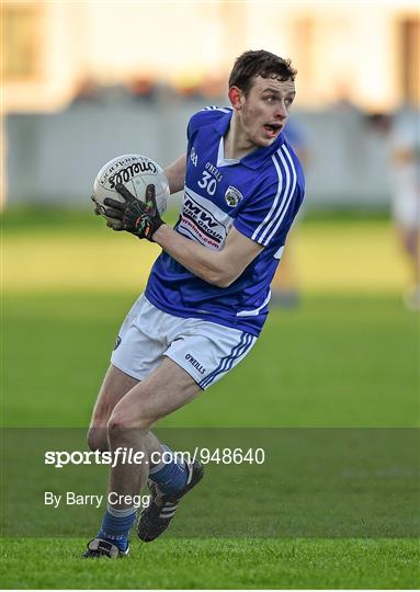 Offaly v Laois - Bord na Mona O'Byrne Cup Group A Round 1