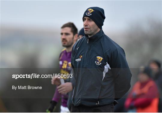 Wexford v Wicklow - Bord na Mona O'Byrne Cup Group D Round 3