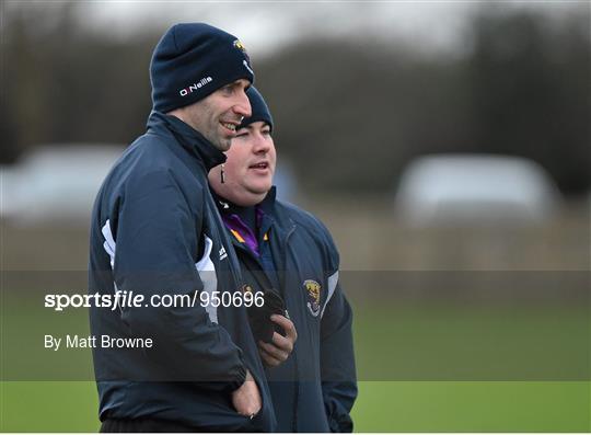 Wexford v Wicklow - Bord na Mona O'Byrne Cup Group D Round 3