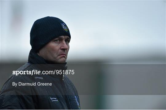Limerick v Waterford - Waterford Crystal Cup Quarter-Final