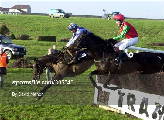 Horse Racing from Waterford and Tramore Races
