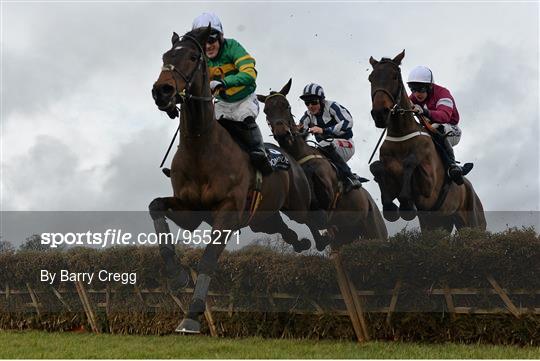 Horse Racing at Leopardstown - Sunday 25th January 2015