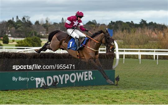 Horse Racing at Leopardstown - Sunday 25th January 2015