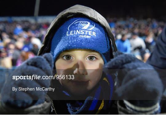 Leinster Fans at Leinster v Castres - European Rugby Champions Cup 2014/15 Pool 2 Round 5