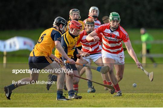 DCU v Cork IT - Independent.ie Fitzgibbon Cup Group A Round 1