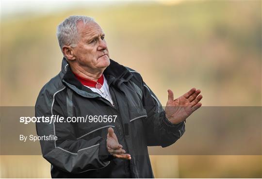 Cork v Kerry - TESCO HomeGrown Ladies National Football League Division 1 Round 2