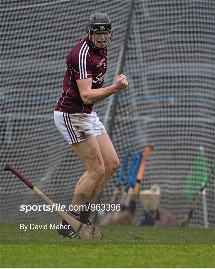 Galway v Clare - Allianz Hurling League Division 1A Round 1
