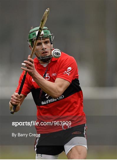 UCC v UL - Independent.ie Fitzgibbon Cup Group B Round 3 UCC v UL - Independent.ie Fitzgibbon Cup Group B Round 3