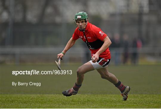 UCC v UL - Independent.ie Fitzgibbon Cup Group B Round 3