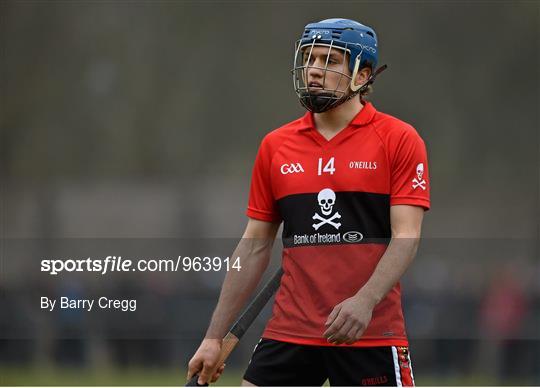 UCC v UL - Independent.ie Fitzgibbon Cup Group B Round 3