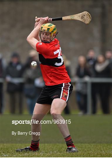 UCC v UL - Independent.ie Fitzgibbon Cup Group B Round 3