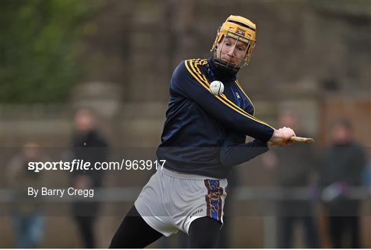 UCC v UL - Independent.ie Fitzgibbon Cup Group B Round 3