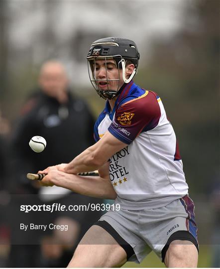 UCC v UL - Independent.ie Fitzgibbon Cup Group B Round 3