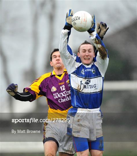 Wexford v Laois - O'Byrne Cup First Round