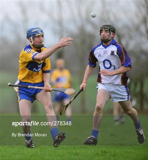 Clare v UL - Waterford Crystal Cup