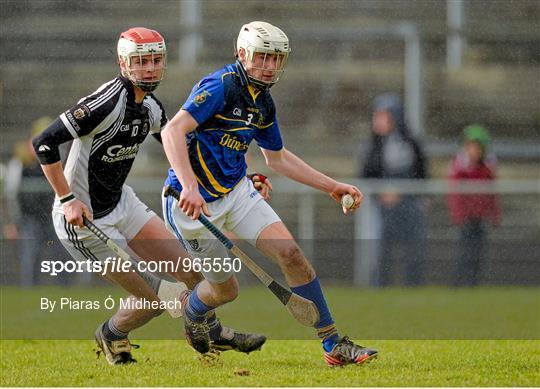 Thurles CBS v St Francis College, Rochestown - Dr. Harty Cup Final