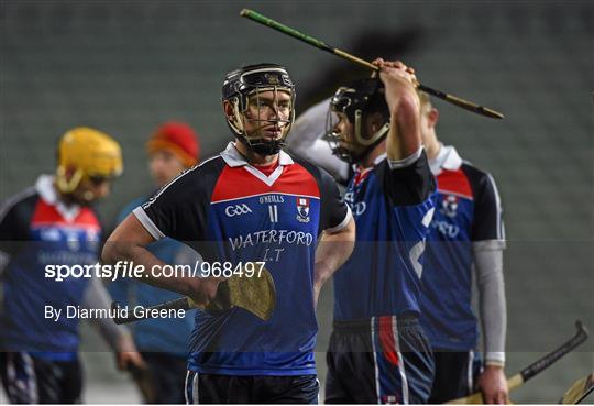 UL v WIT - Independent.ie Fitzgibbon Cup Final