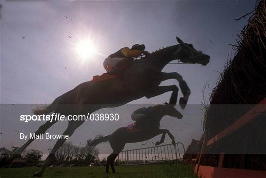 Horse Racing from Punchestown