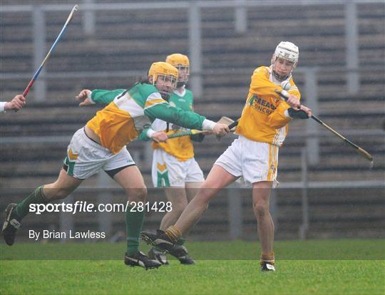 Antrim v Offaly - Walsh Cup Final