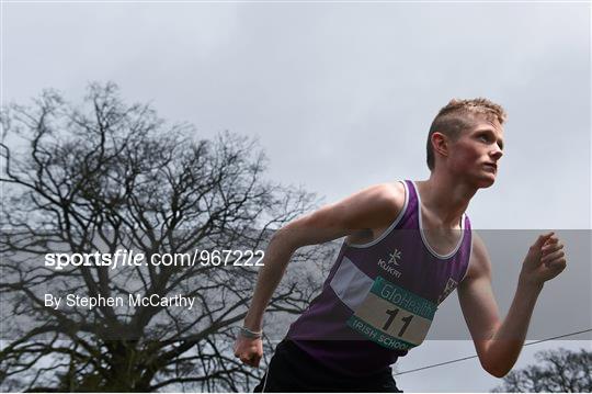 GloHealth All Ireland Schools’ Cross Country Championships Preview