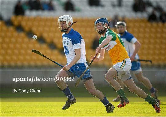 Offaly v Waterford - Allianz Hurling League Division 1A Round 3
