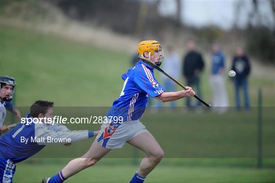 Waterford IT v DIT - Ulster Bank Fitzgibbon Cup