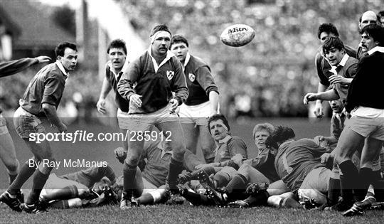 Ireland v Wales - Five Nations Rugby Championship 1988
