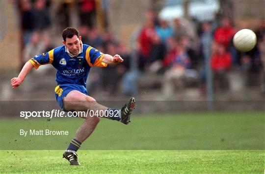 Wicklow v Wexford - Bank of Ireland Leinster Senior Football Championship Group Stage