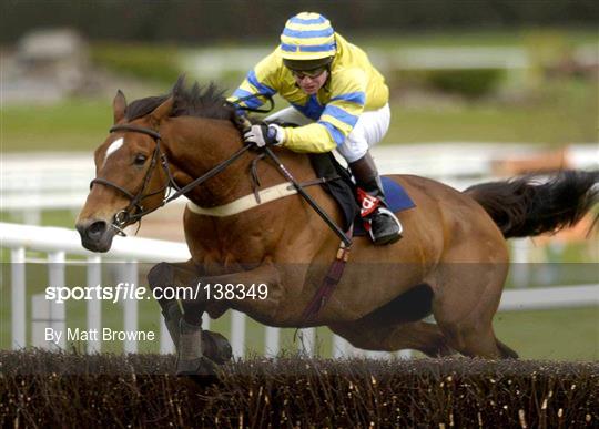 Punchestown Racing Festival - Day Two