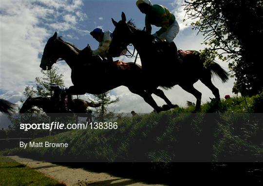 Punchestown Racing Festival - Day 3