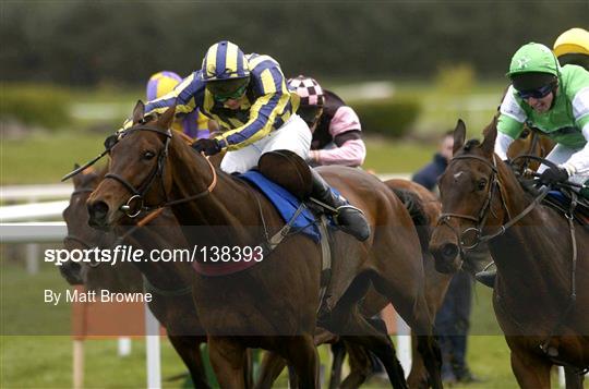 Punchestown Racing Festival - Day 3