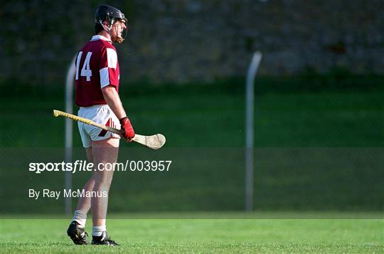 Galway v Laois - Church & General National Hurling League Division 1