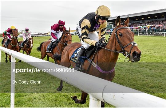 Punchestown Festival - Friday 1st May