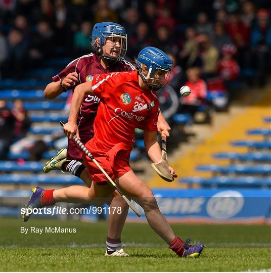 Cork v Galway - National Camogie League Division 1 Final
