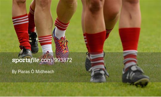 Cork v Galway - TESCO HomeGrown Ladies National Football League Division 1 Final