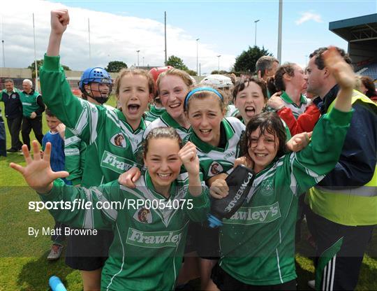 Lucan Sarsfields, Co. Dublin v Mullagh, Co. Galway - Feile na nGael Camogie Finals - Division 1 Final