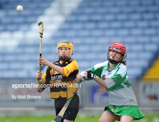 Michael Davitt's, Co. Derry v Lismore, Co. Waterford - Feile na nGael Camogie Finals - Division 2 Final